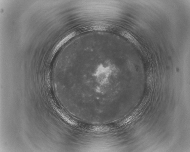 X0000058101026200510211430