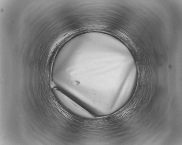 X0000058101027200510211430