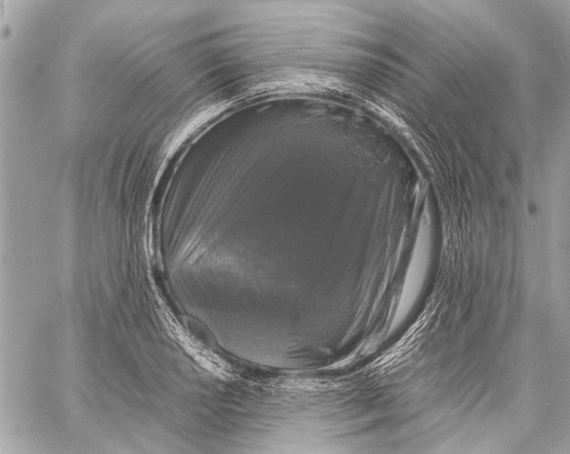 X0000058101034200510211430
