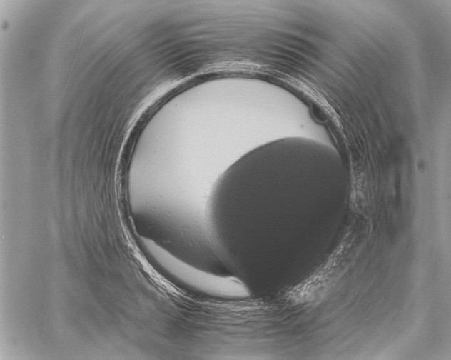 X0000058101037200510211430