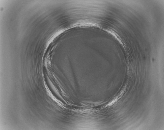 X0000058101038200510211430