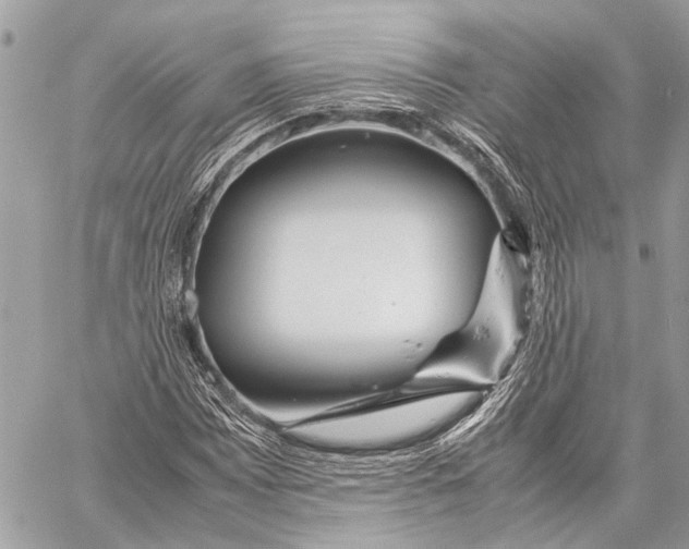 X0000058101065200510211430