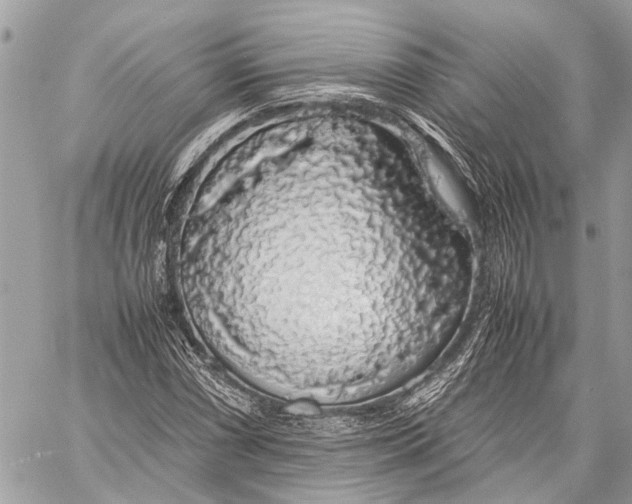 X0000058101066200510211430