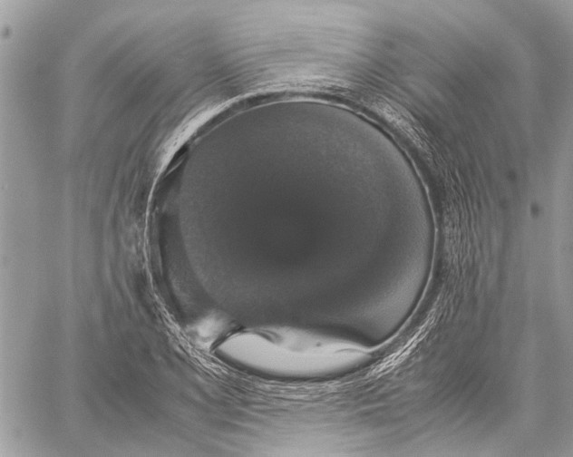 X0000058101077200510211430