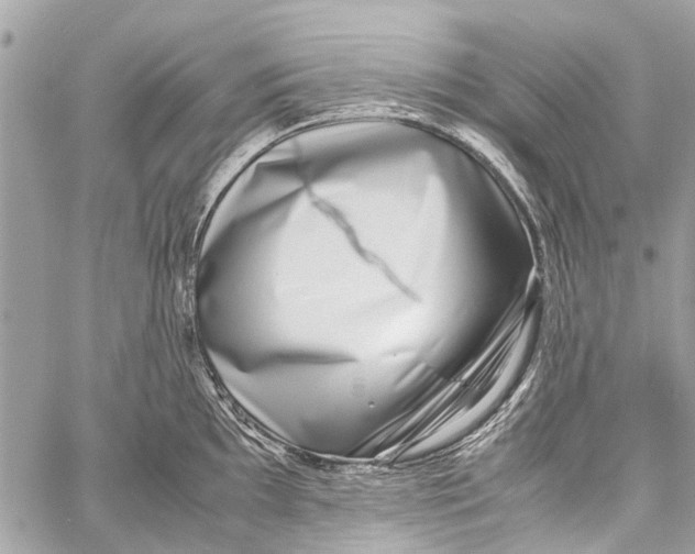 X0000058101097200510211429