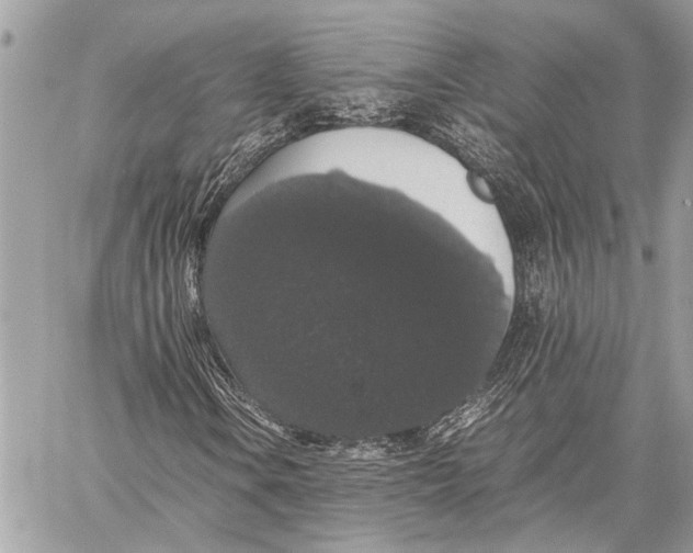 X0000058101106200510211428