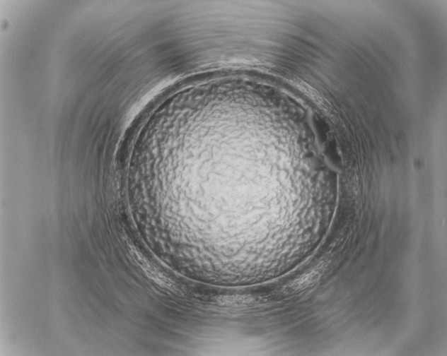 X0000058101118200510211429