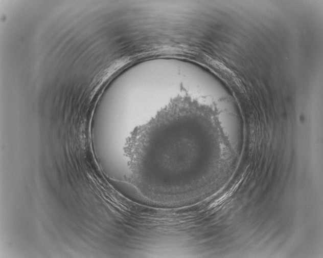 X0000058101170200510211428