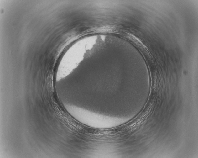 X0000058101174200510211428