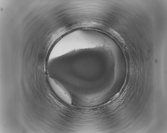 X0000058101226200510211427