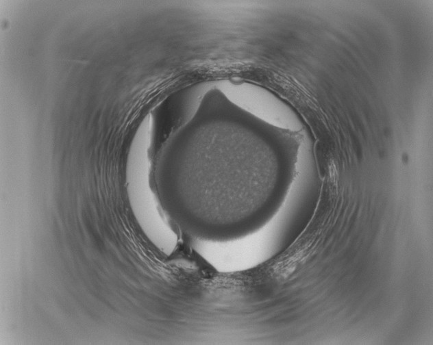 X0000058101300200510211425