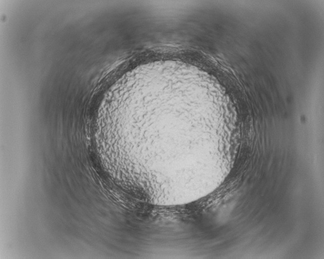 X0000058101301200510211425