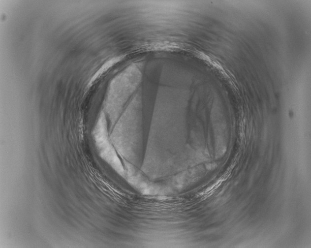 X0000058101306200510211425