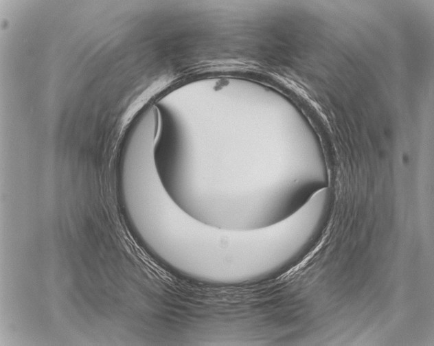 X0000058101317200510211426
