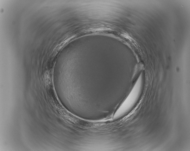 X0000058101353200510211425
