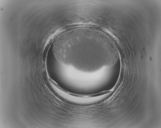 X0000058101357200510211425
