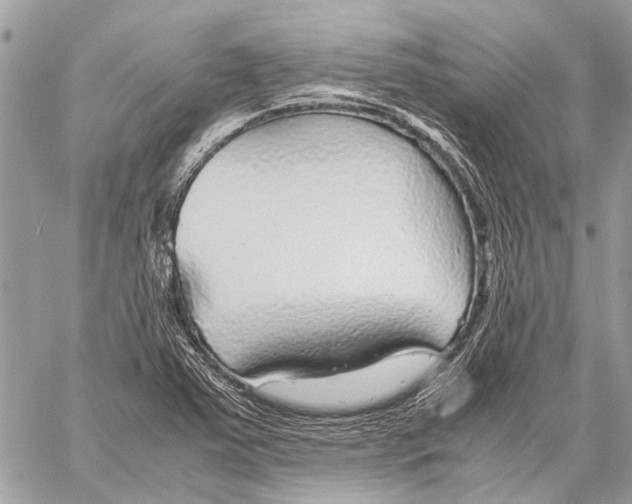X0000058101363200510211425