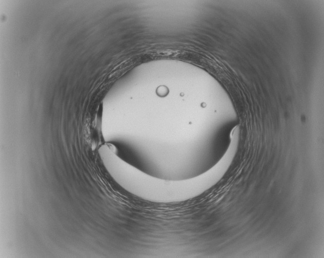 X0000058101394200510211424