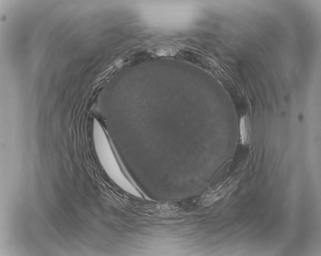 X0000058101443200510211424