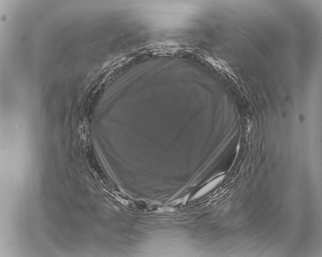 X0000058101445200510211424