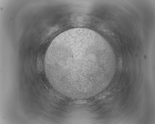 X0000058101446200510211424