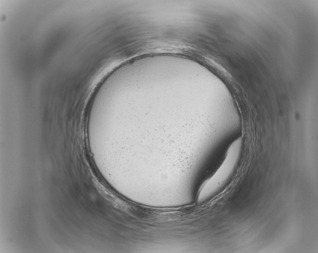 X0000058101471200510211423