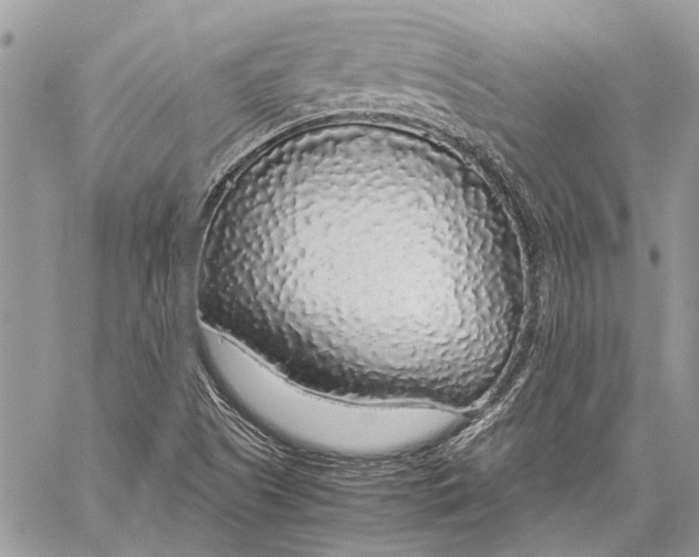 X0000058101505200510211422