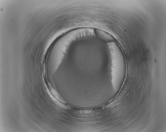 X0000058101515200510211423