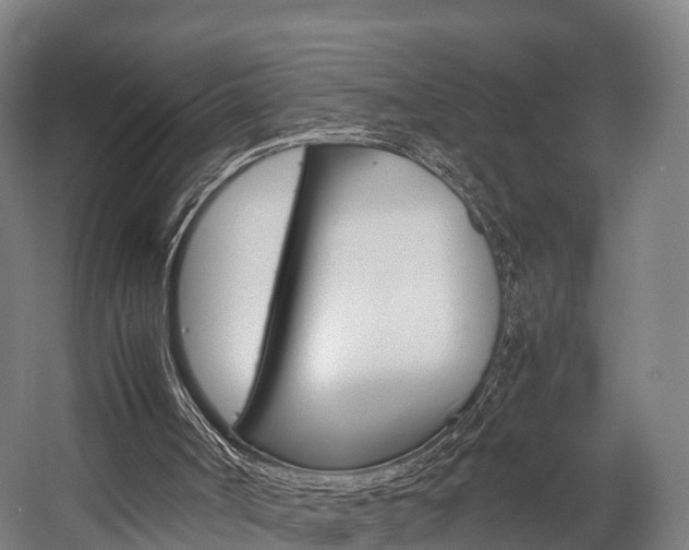 X0000058110002200509230832