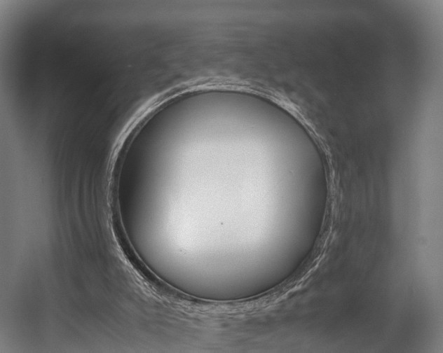 X0000058110007200509230832
