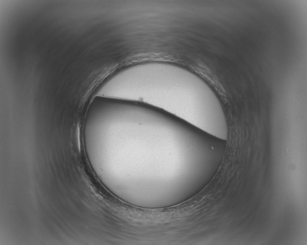X0000058110014200509230832
