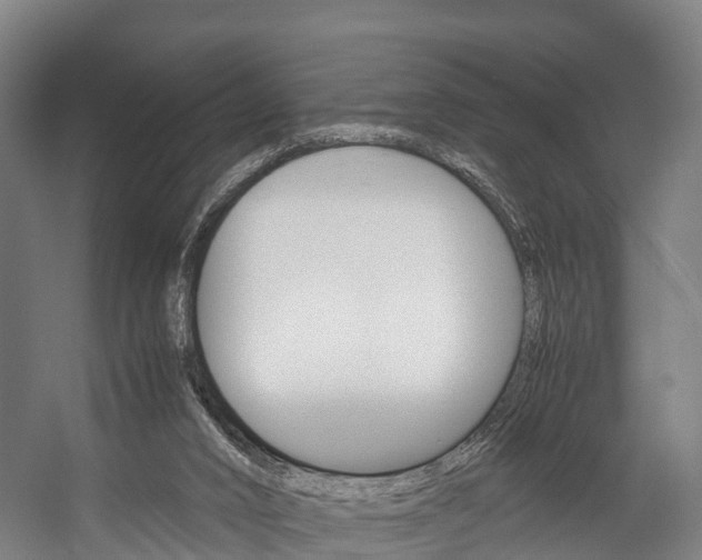 X0000058110016200509230832