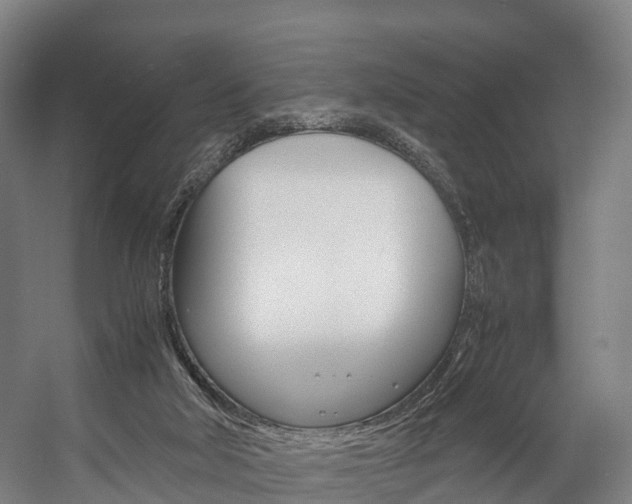 X0000058110018200509230832