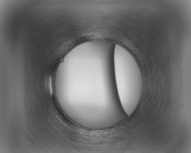 X0000058110022200509230832