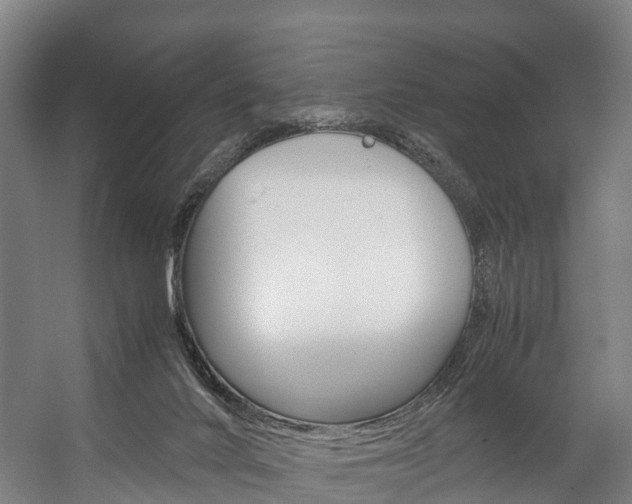 X0000058110024200509230832
