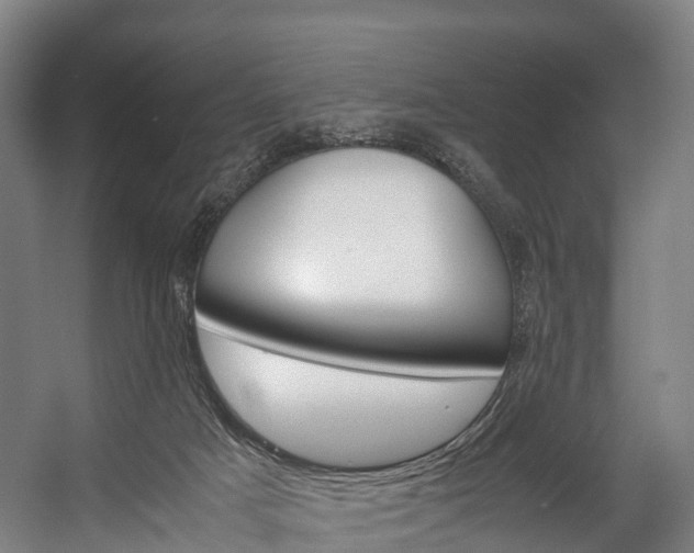 X0000058110025200509230832