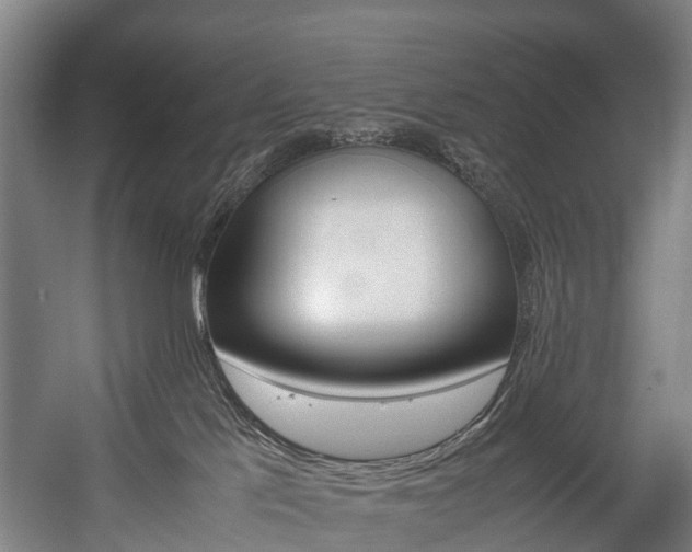 X0000058110041200509230831