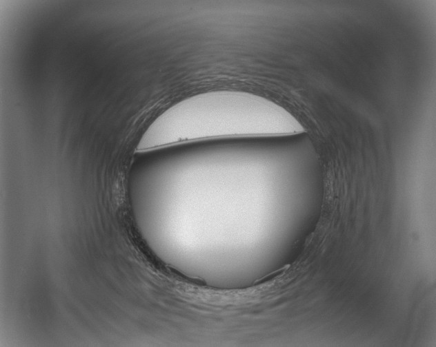 X0000058110043200509230831