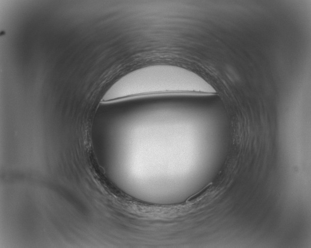 X0000058110044200509230831