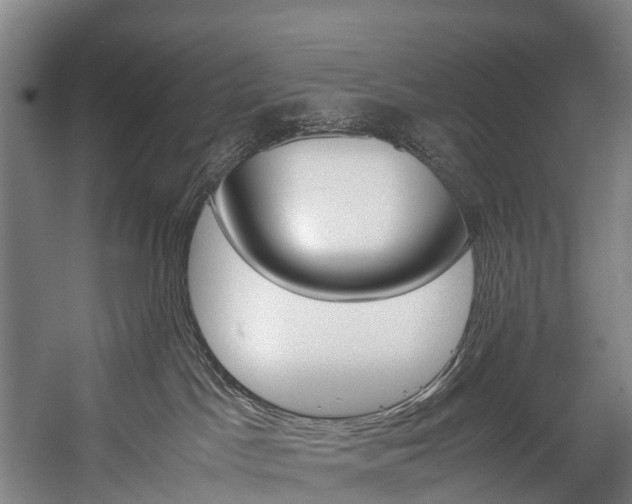 X0000058110045200509230831
