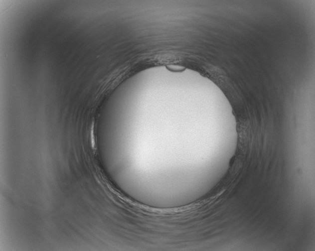 X0000058110046200509230831