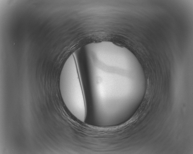 X0000058110048200509230831