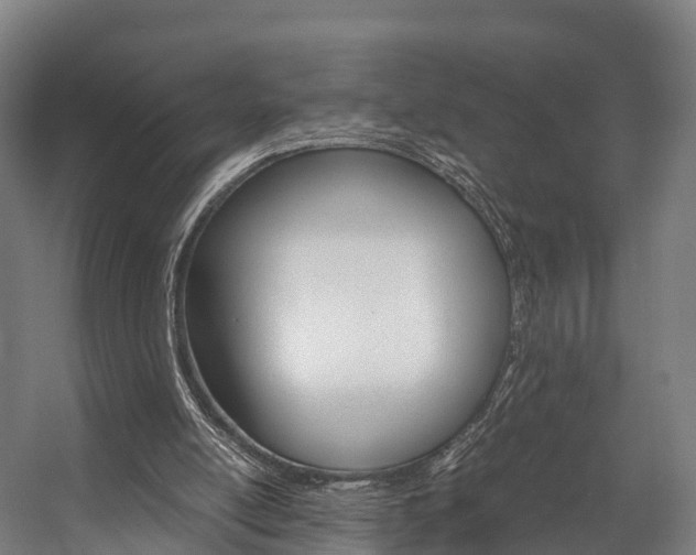 X0000058110054200509230831