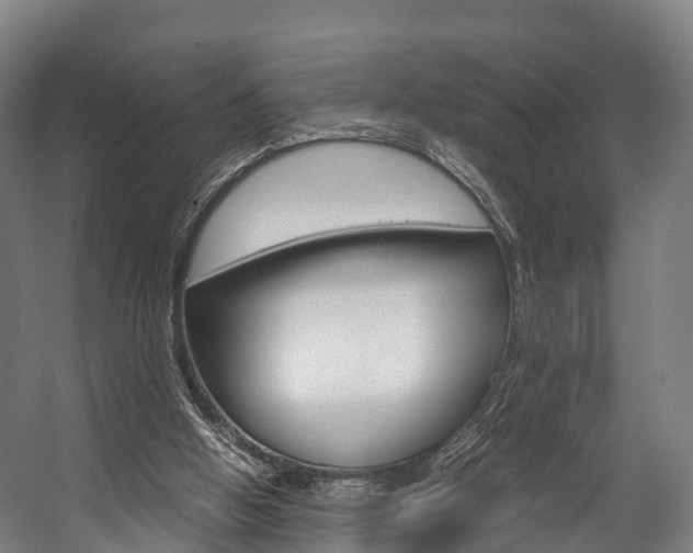 X0000058110058200509230831