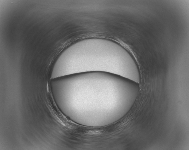 X0000058110061200509230831