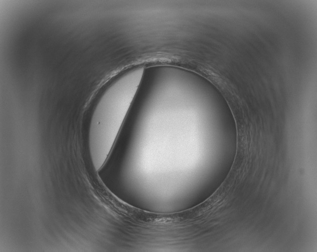 X0000058110064200509230831