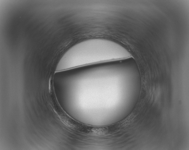 X0000058110070200509230831