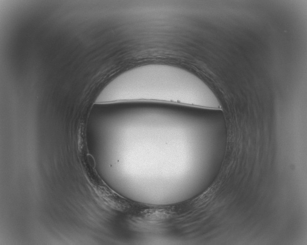 X0000058110074200509230831