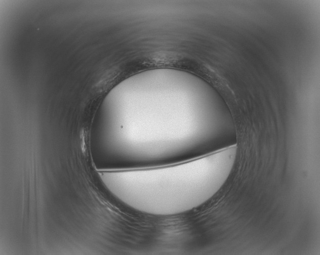 X0000058110075200509230831