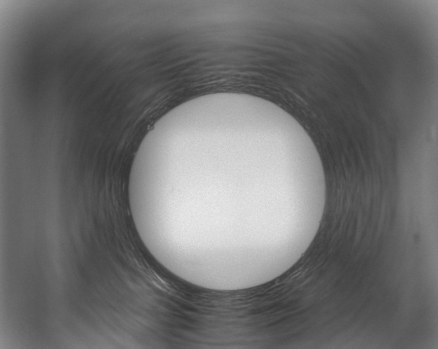 X0000058110091200509230831